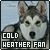 cold